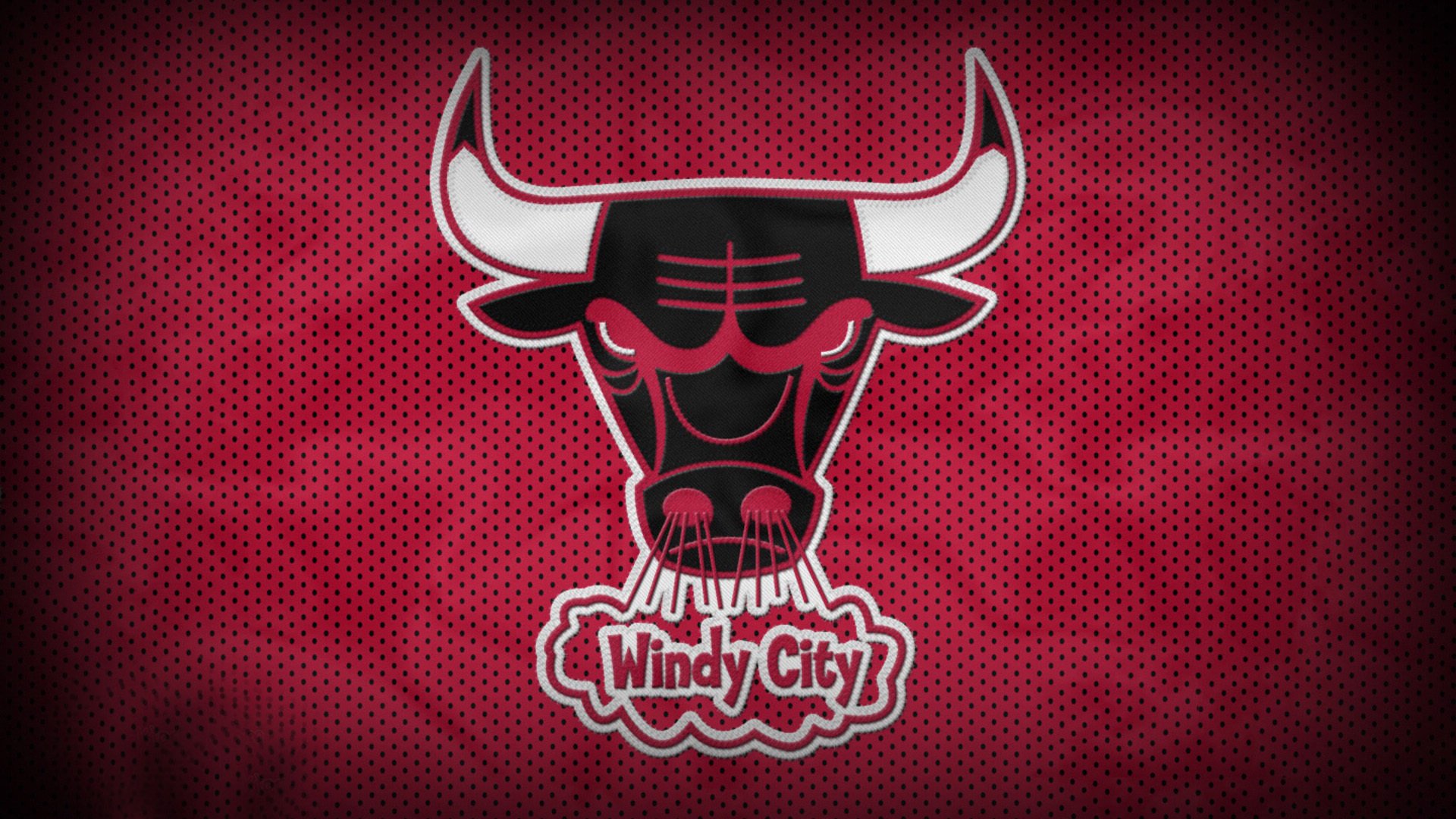 弗朗索瓦·霍尔茨豪伊泽：南非队的后场发动机，进攻一触即发，霍弗尔狼队